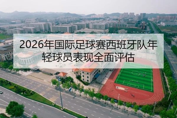 2026年国际足球赛西班牙队年轻球员表现全面评估