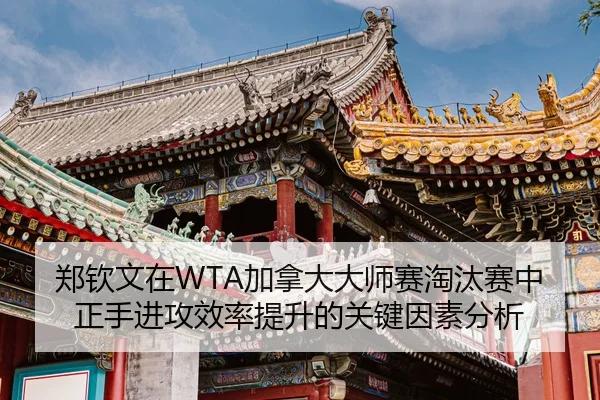 zheng-qin-wen-zai-jia-na-da-da-shi-sai-tao-tai-sai-zhong-zheng-shou-jin-gong-xiao-lv-ti-sheng-de-guan-jian-yin-su-fen-xi-3-551.jpg
