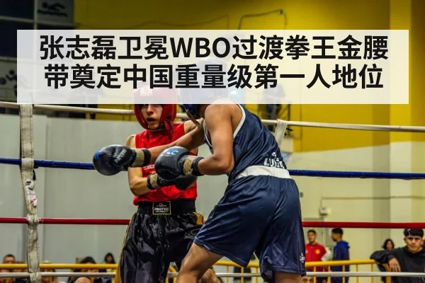 张志磊卫冕WBO过渡拳王金腰带奠定中国重量级第一人地位
